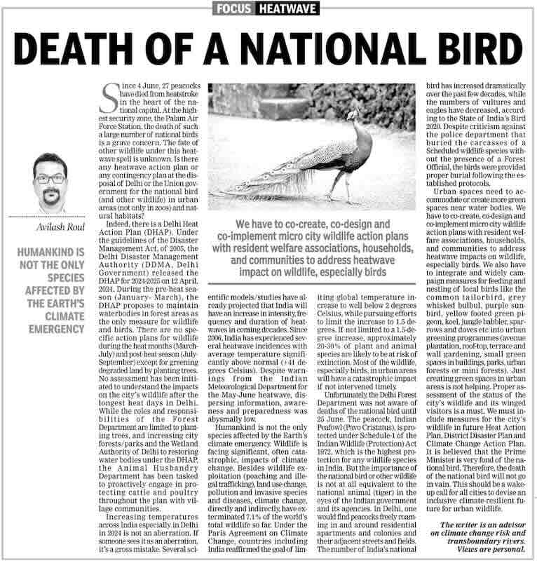 National Bird