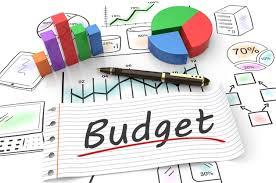 The Defence Budget 2008-09: Facts and Figures - I