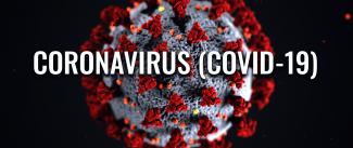 Corona Virus image