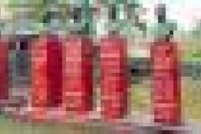 TM: "Indian Counter-Insurgency Operations and COVID-19 Limit Maoist Insurgency"